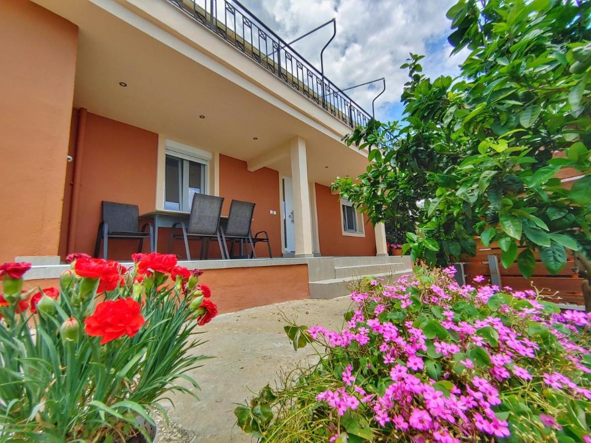 Stellar Blue Palio Casa vacanze PalaiónTsiflíkion